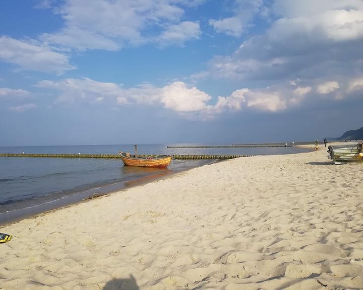 Stranddistel Kolpinsee